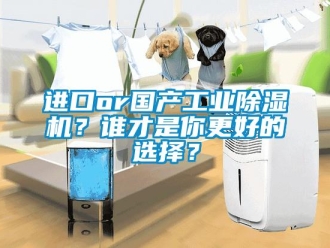 行業(yè)新聞進(jìn)口or國產(chǎn)工業(yè)除濕機(jī)？誰才是你更好的選擇？
