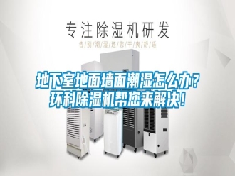 常見問題地下室地面墻面潮濕怎么辦？環(huán)科除濕機幫您來解決！