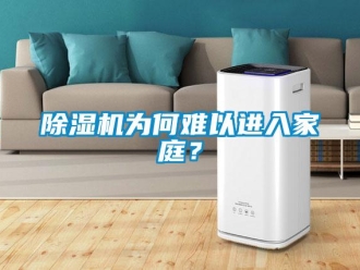 企業(yè)新聞除濕機(jī)為何難以進(jìn)入家庭？