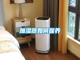 常見(jiàn)問(wèn)題加濕器如何保養(yǎng)