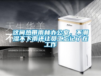知識百科這間熱帶雨林辦公室，不潮濕不下雨還讓員工忘記了在工作