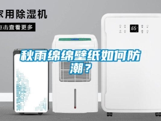 常見問題秋雨綿綿壁紙如何防潮？