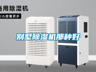 企業(yè)新聞別墅除濕機(jī)那種好