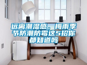 常見問題遠離潮濕感，梅雨季節(jié)防潮防霉這5招你都知道嗎