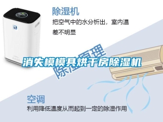 知識百科消失模模具烘干房除濕機(jī)