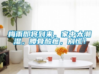 行業(yè)新聞梅雨即將到來，家中太潮濕，腰骨酸疼，別慌！