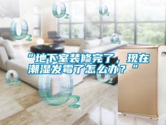 企業(yè)新聞“地下室裝修完了，現(xiàn)在潮濕發(fā)霉了怎么辦？”