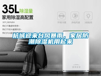 行業(yè)新聞杭城迎來(lái)臺(tái)風(fēng)暴雨，家居防潮除濕機(jī)用起來(lái)