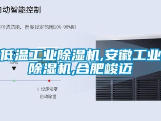 常見問題低溫工業(yè)除濕機,安徽工業(yè)除濕機,合肥峻邁