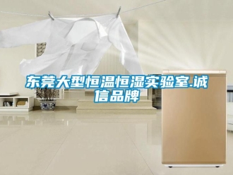 知識(shí)百科東莞大型恒溫恒濕實(shí)驗(yàn)室.誠(chéng)信品牌