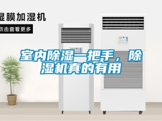 知識(shí)百科室內(nèi)除濕一把手，除濕機(jī)真的有用