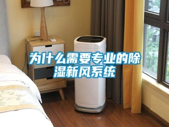 知識百科為什么需要專業(yè)的除濕新風系統(tǒng)