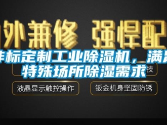 企業(yè)新聞非標(biāo)定制工業(yè)除濕機(jī)，滿足特殊場所除濕需求