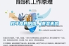 跨年度的陰雨，潮濕來(lái)襲