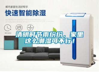 行業(yè)新聞清明時節(jié)雨紛紛，家里這么潮濕可不行！