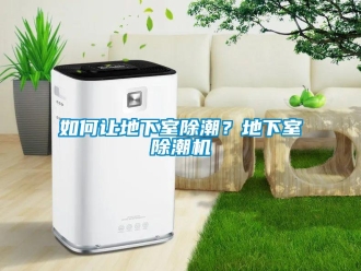 常見(jiàn)問(wèn)題如何讓地下室除潮？地下室除潮機(jī)