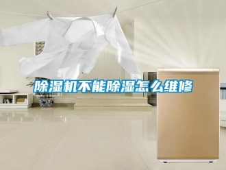 常見問題除濕機(jī)不能除濕怎么維修