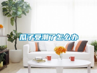 常見(jiàn)問(wèn)題瓜子受潮了怎么辦