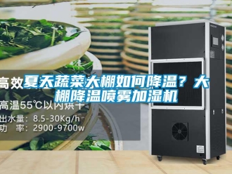 常見問題夏天蔬菜大棚如何降溫？大棚降溫噴霧加濕機