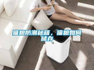 常見問題貓糧防潮秘籍，貓糧如何儲存