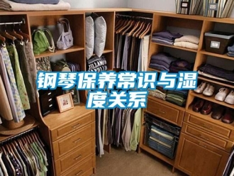 企業(yè)新聞鋼琴保養(yǎng)常識(shí)與濕度關(guān)系
