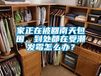 常見問題家正在被回南天包圍，到處都在受潮發(fā)霉怎么辦？