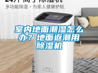 常見問(wèn)題室內(nèi)地面潮濕怎么辦？地面返潮用除濕機(jī)