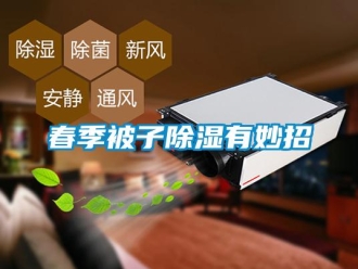 企業(yè)新聞春季被子除濕有妙招
