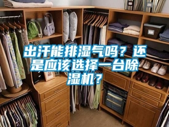 常見問題出汗能排濕氣嗎？還是應(yīng)該選擇一臺(tái)除濕機(jī)？