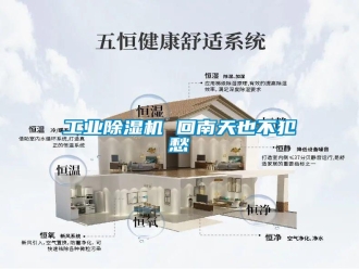 企業(yè)新聞工業(yè)除濕機(jī) 回南天也不犯愁