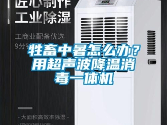 常見(jiàn)問(wèn)題牲畜中暑怎么辦？用超聲波降溫消毒一體機(jī)