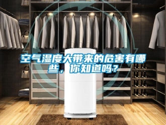 常見問題空氣濕度大帶來的危害有哪些，你知道嗎？