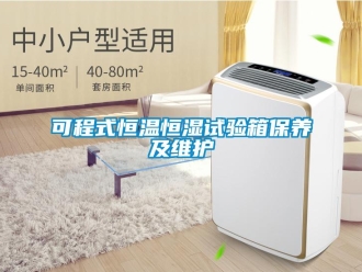 知識(shí)百科可程式恒溫恒濕試驗(yàn)箱保養(yǎng)及維護(hù)