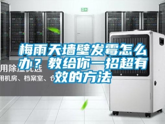 常見問題梅雨天墻壁發(fā)霉怎么辦？教給你一招超有效的方法