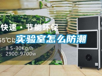 常見問(wèn)題實(shí)驗(yàn)室怎么防潮
