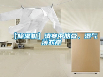 企業(yè)新聞【除濕機(jī)】清寒中筋骨，濕氣薄衣襟