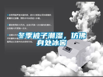 企業(yè)新聞冬季被子潮濕，仿佛身處冰窖