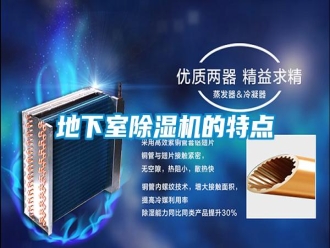 企業(yè)新聞地下室除濕機(jī)的特點(diǎn)