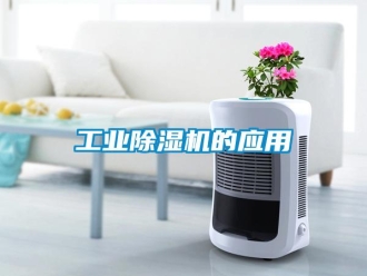 企業(yè)新聞工業(yè)除濕機的應用