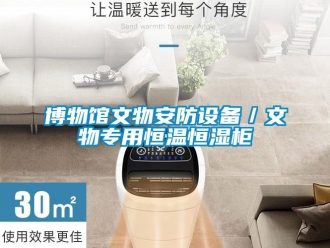 知識(shí)百科博物館文物安防設(shè)備／文物專用恒溫恒濕柜