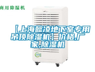 企業(yè)新聞【上海懿凌地下室專用吊頂除濕機】價格,廠家,除濕機