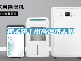 知識百科柿子烘干用高溫烘干機(jī)