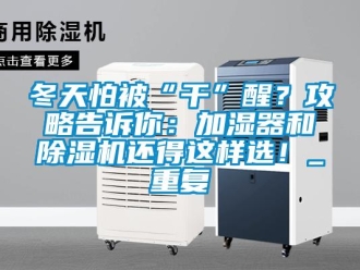 行業(yè)新聞冬天怕被“干”醒？攻略告訴你：加濕器和除濕機還得這樣選！_重復(fù)