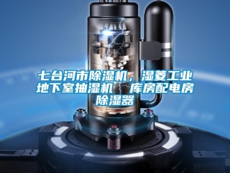 常見(jiàn)問(wèn)題七臺(tái)河市除濕機(jī)，濕菱工業(yè)地下室抽濕機(jī)  庫(kù)房配電房除濕器