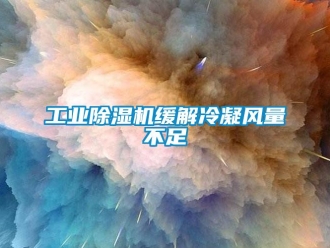 企業(yè)新聞工業(yè)除濕機緩解冷凝風(fēng)量不足