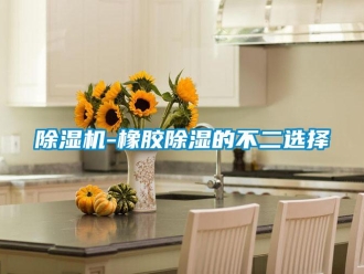 企業(yè)新聞除濕機-橡膠除濕的不二選擇