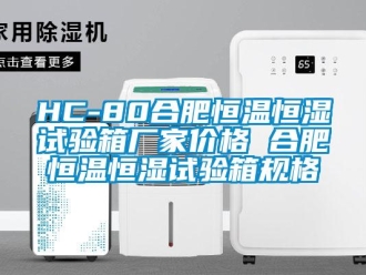 常見問題HC-80合肥恒溫恒濕試驗(yàn)箱廠家價(jià)格 合肥恒溫恒濕試驗(yàn)箱規(guī)格