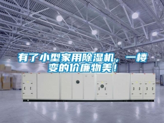 知識百科有了小型家用除濕機，一樓變的價廉物美！