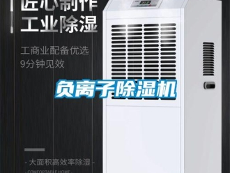 企業(yè)新聞負離子除濕機