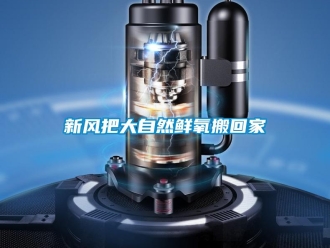 知識(shí)百科新風(fēng)把大自然鮮氧搬回家